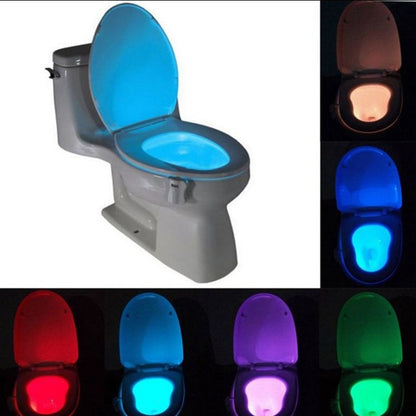 Toilet Induction LED Night Light